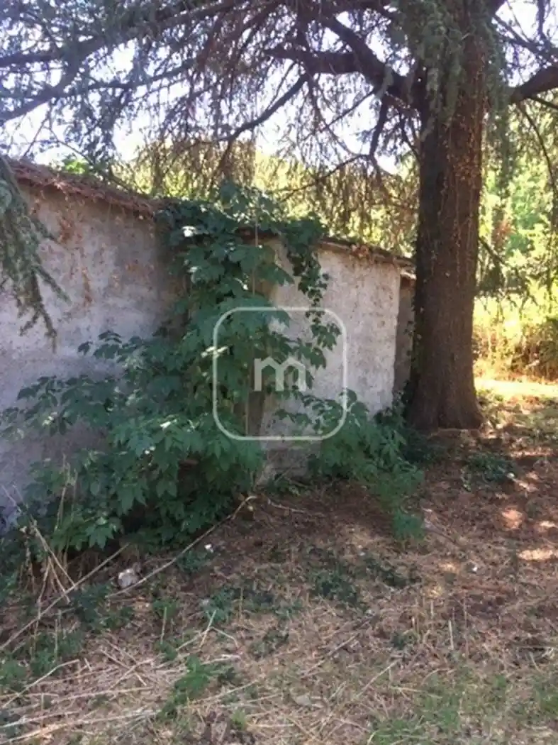 Rustico - Casale in vendita a Monte Compatri