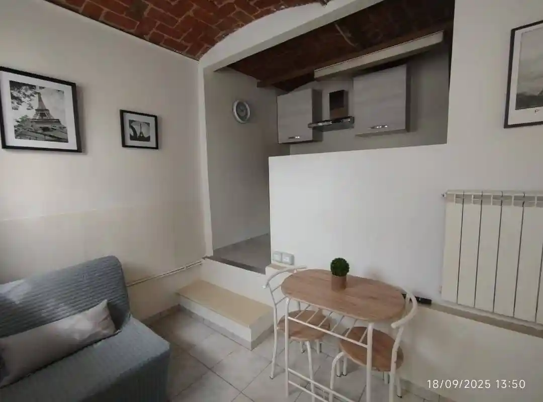Loft in affitto a Orbassano