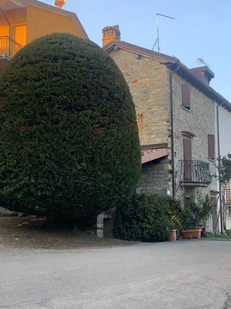 Casa indipendente in affitto a Villa Minozzo