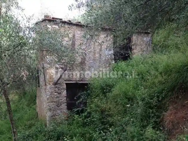 Rustico - Casale in vendita a Camaiore