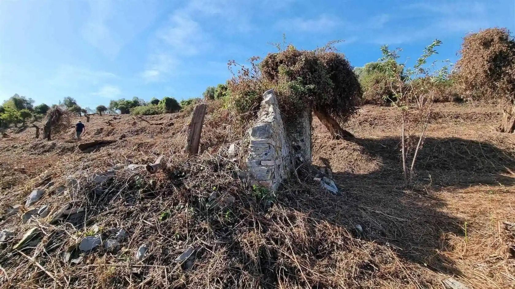 Rustico - Casale in vendita a Camaiore