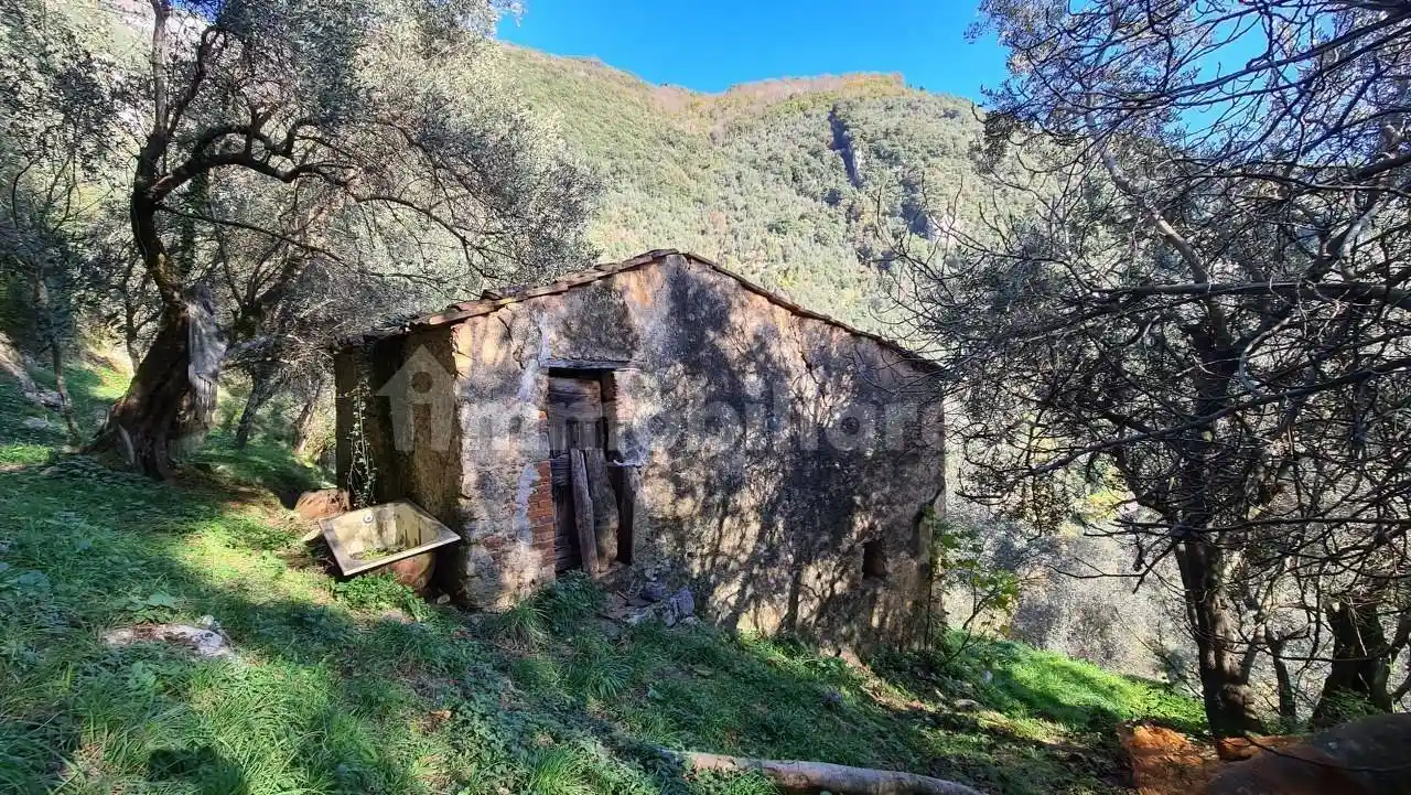 Rustico - Casale in vendita a Camaiore