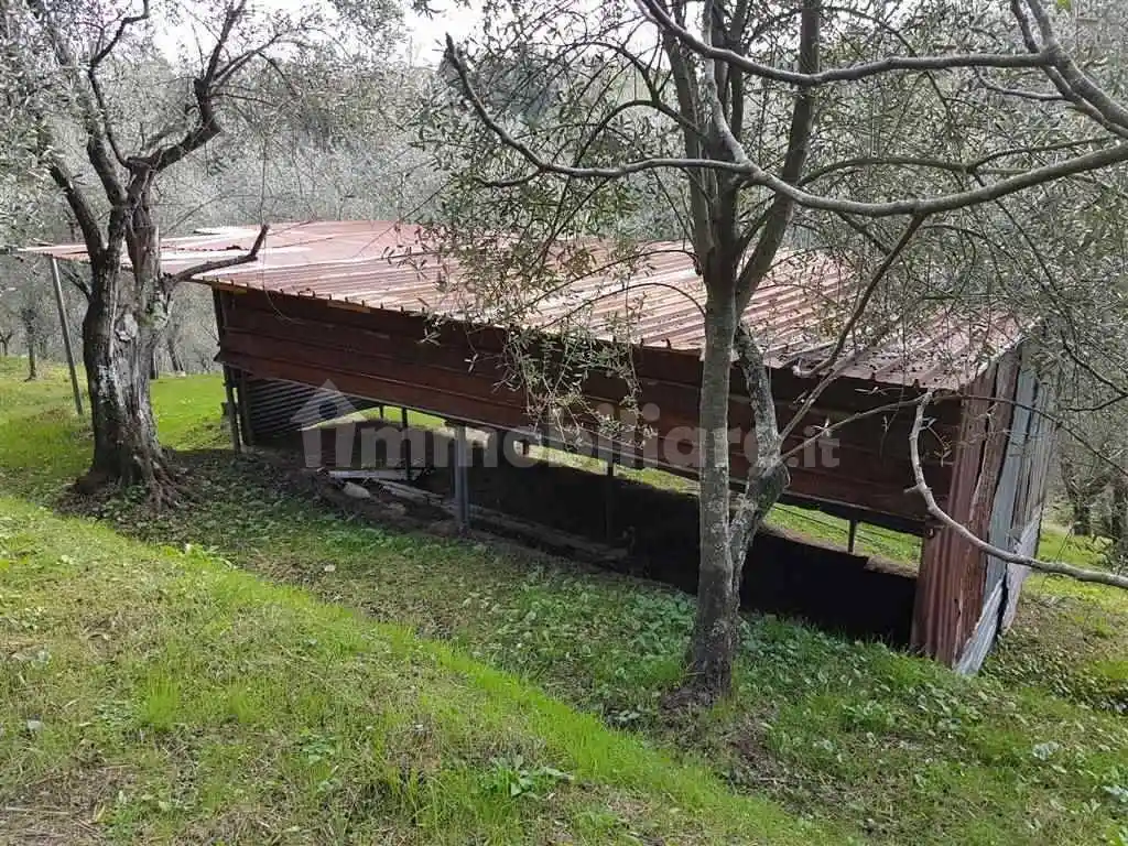 Rustico - Casale in vendita a Camaiore