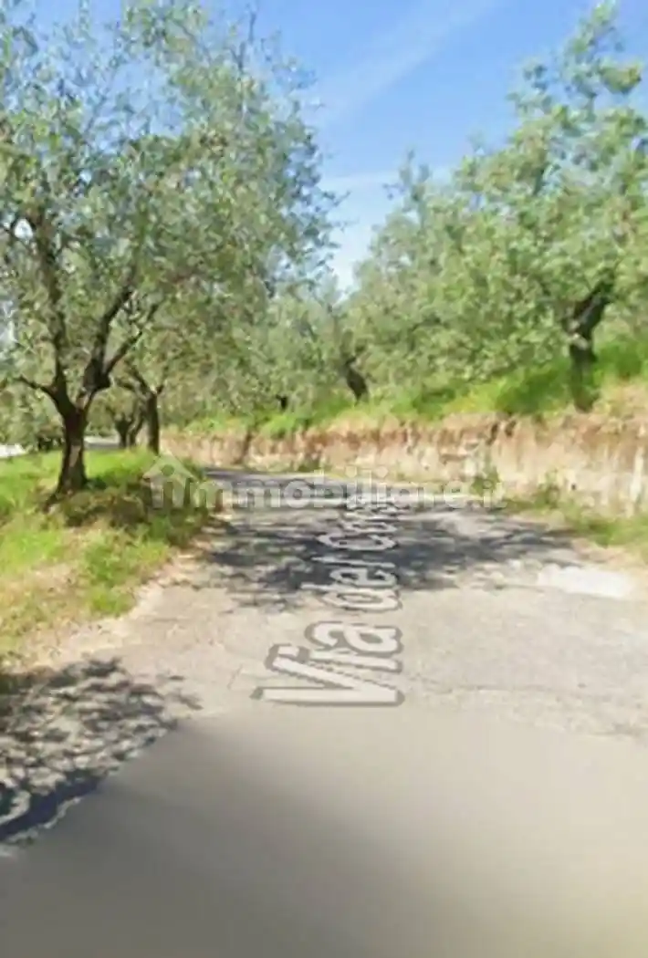 Appartamento in vendita a Olevano Romano