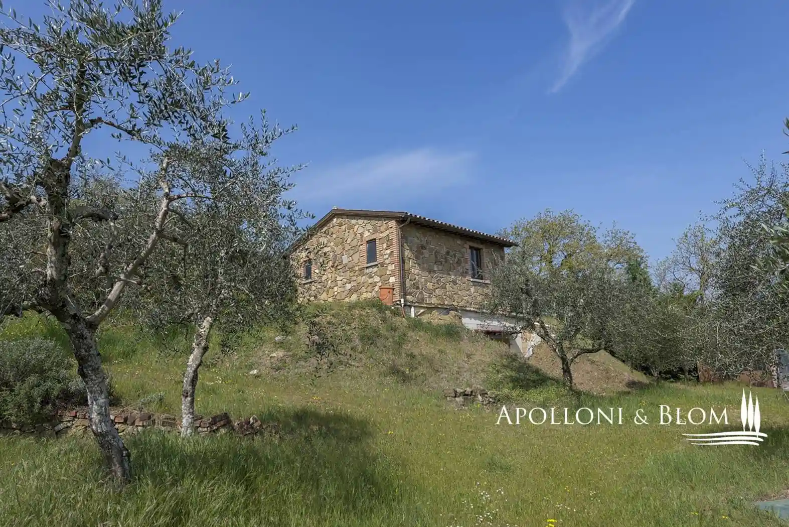 Rustico - Casale in vendita a Sinalunga