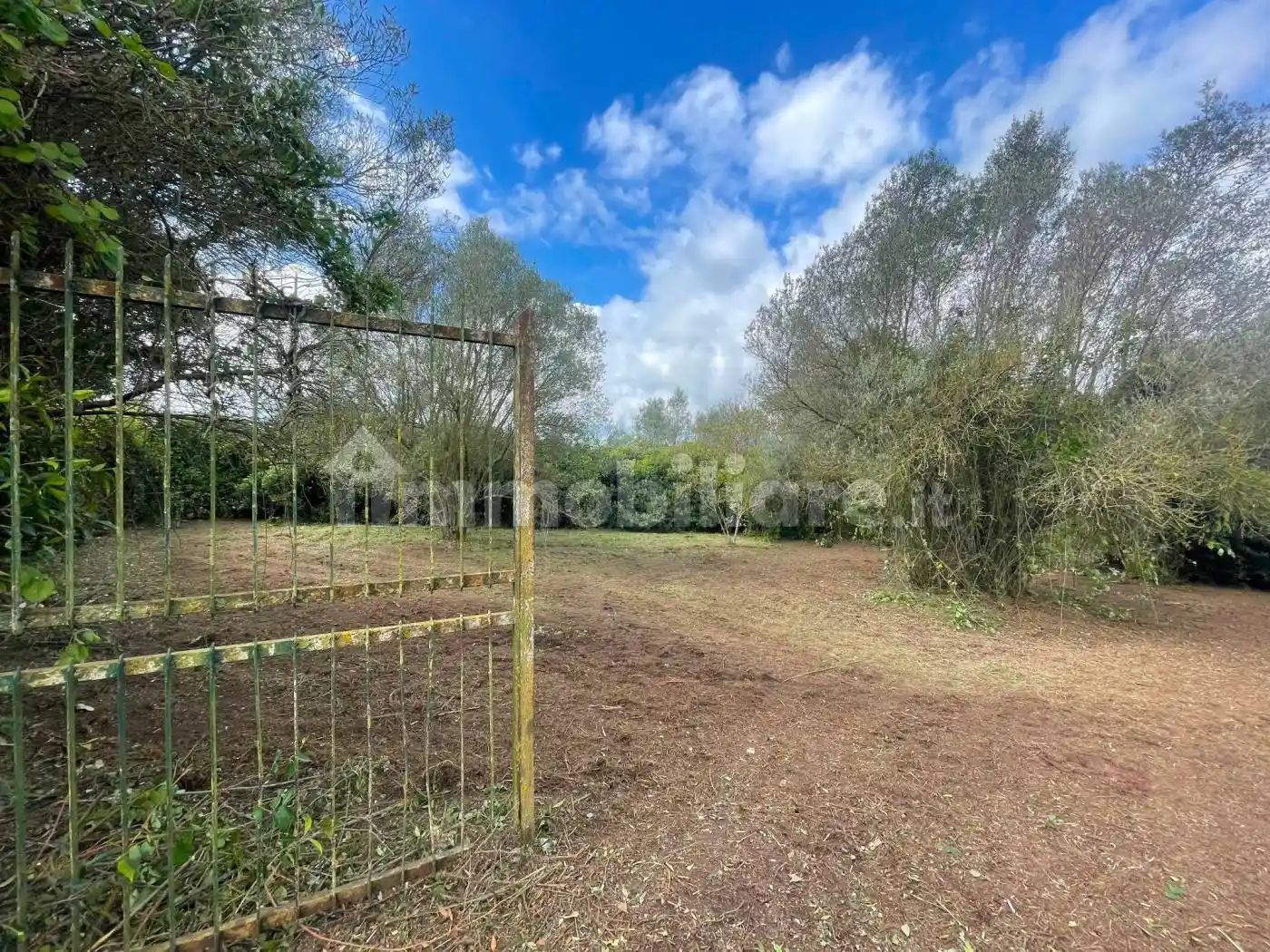 Rustico - Casale in vendita a Marta