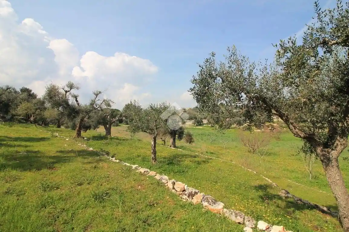 Rustico - Casale in vendita a Ostuni