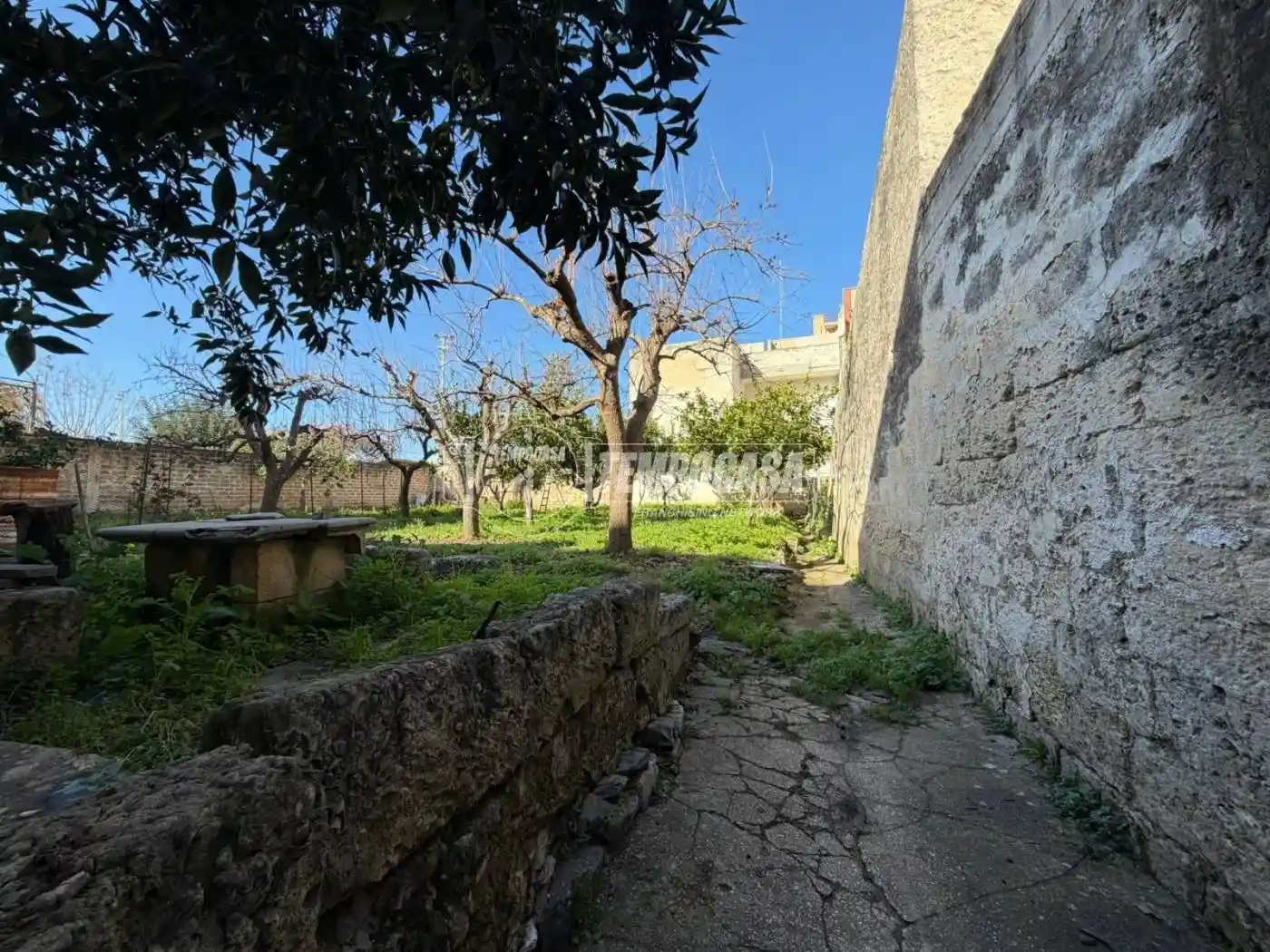 Casa indipendente in vendita a Rutigliano