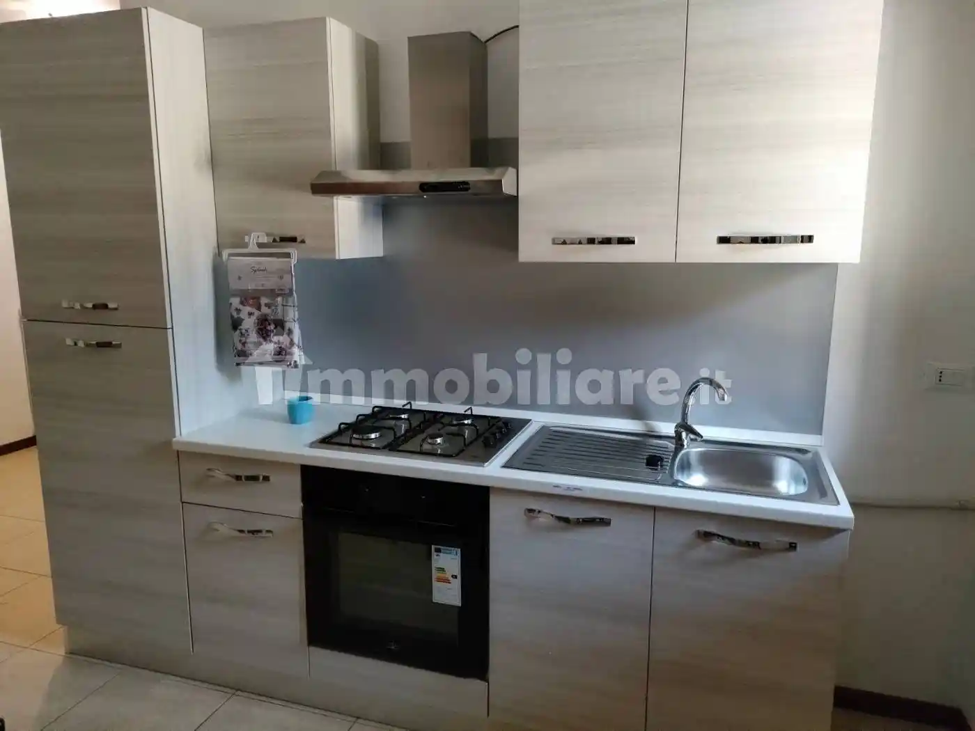 Appartamento in affitto a Este