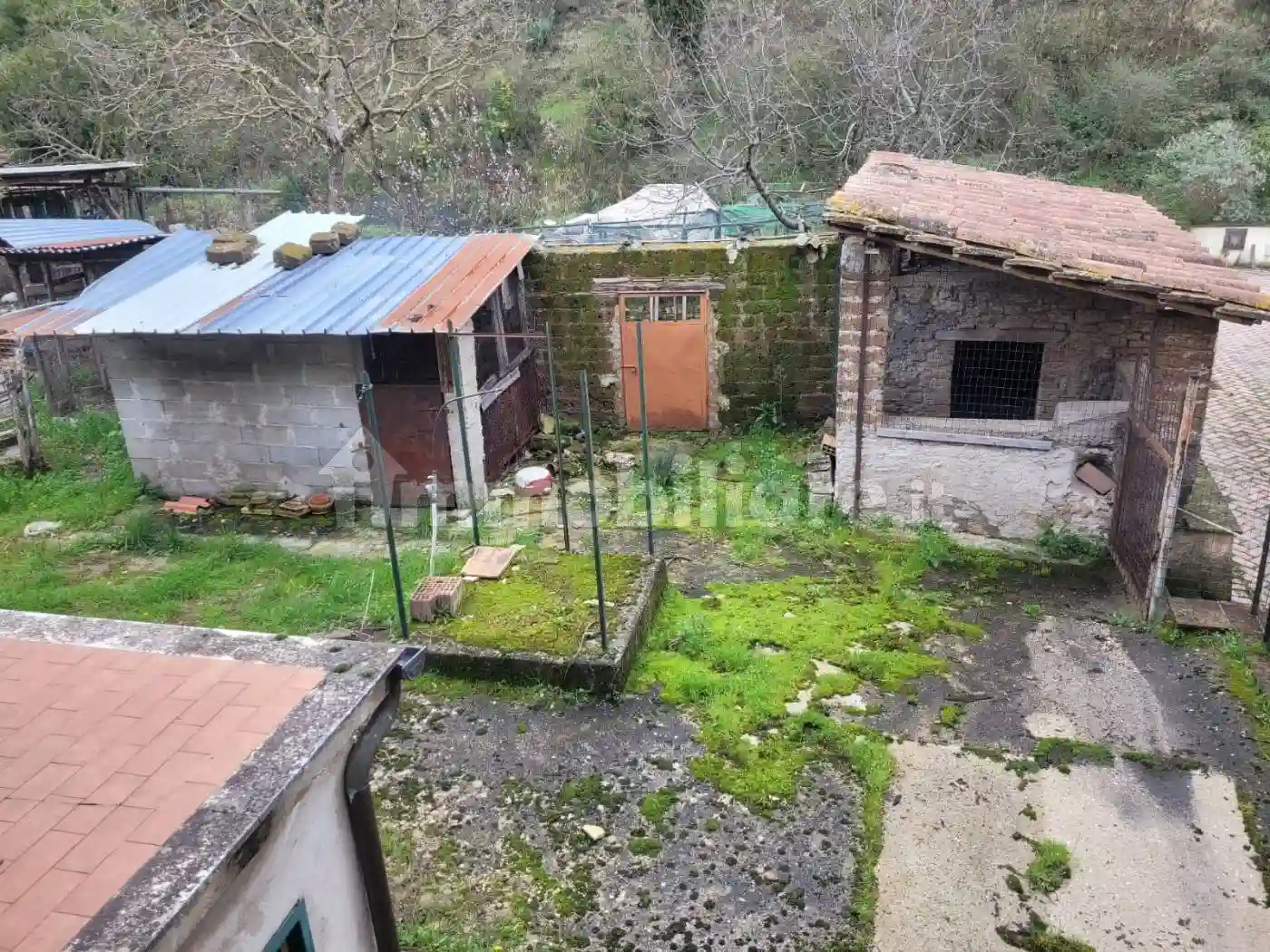 Rustico - Casale - foto 3