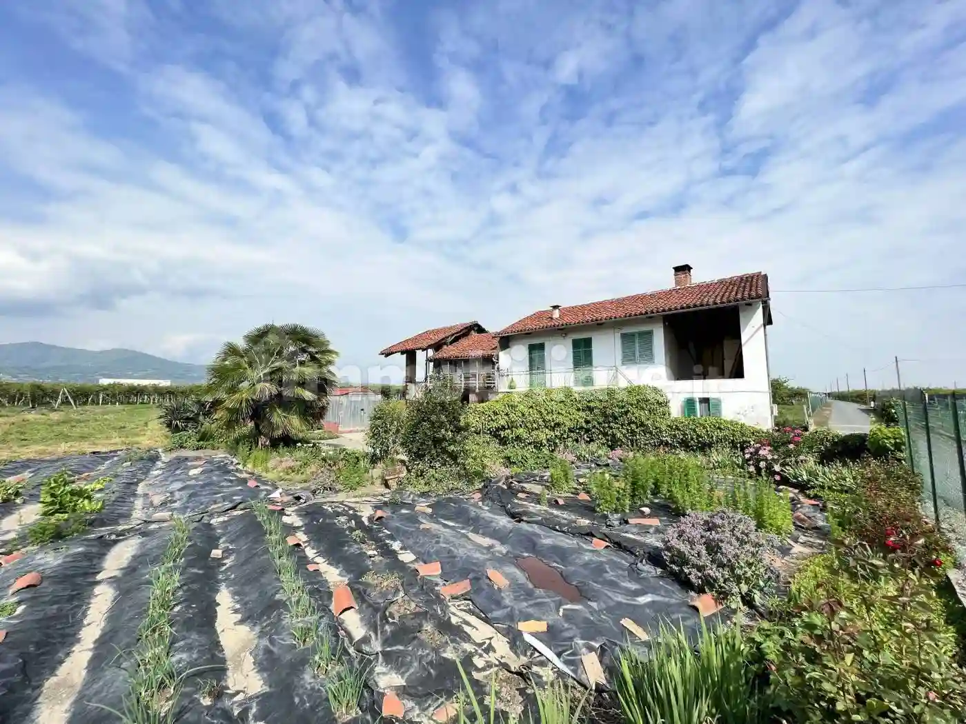 Casa indipendente - foto 4