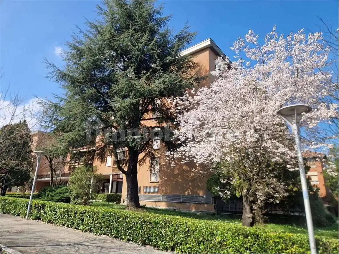 Appartamento in vendita a Fidenza