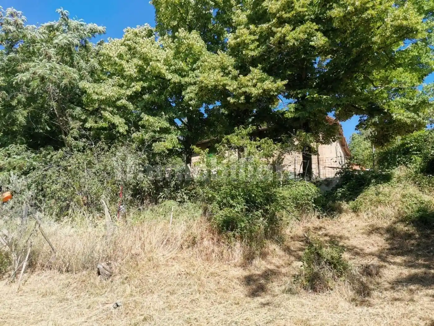 Rustico - Casale in vendita a Casole d'Elsa