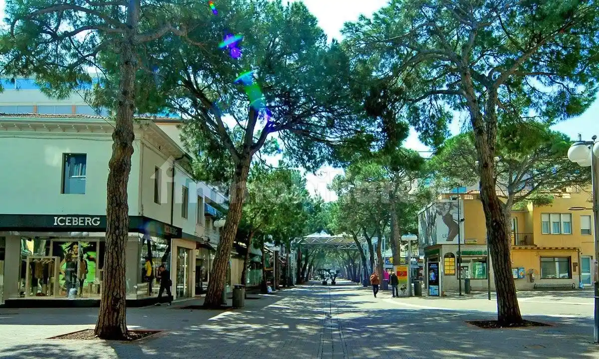 Appartamento in affitto a Riccione