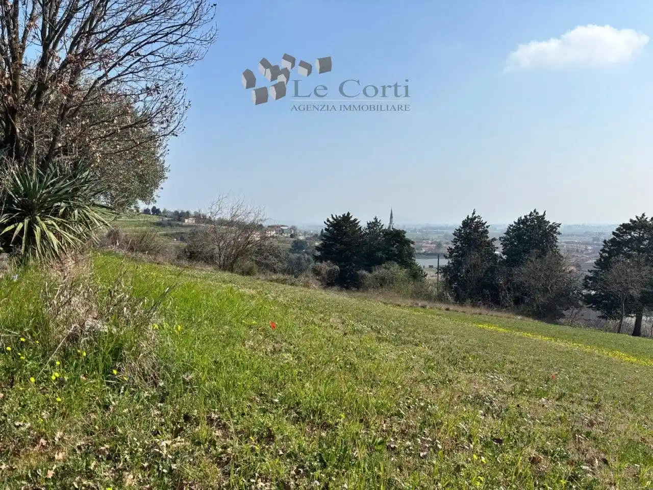 Rustico - Casale in vendita a Sossano