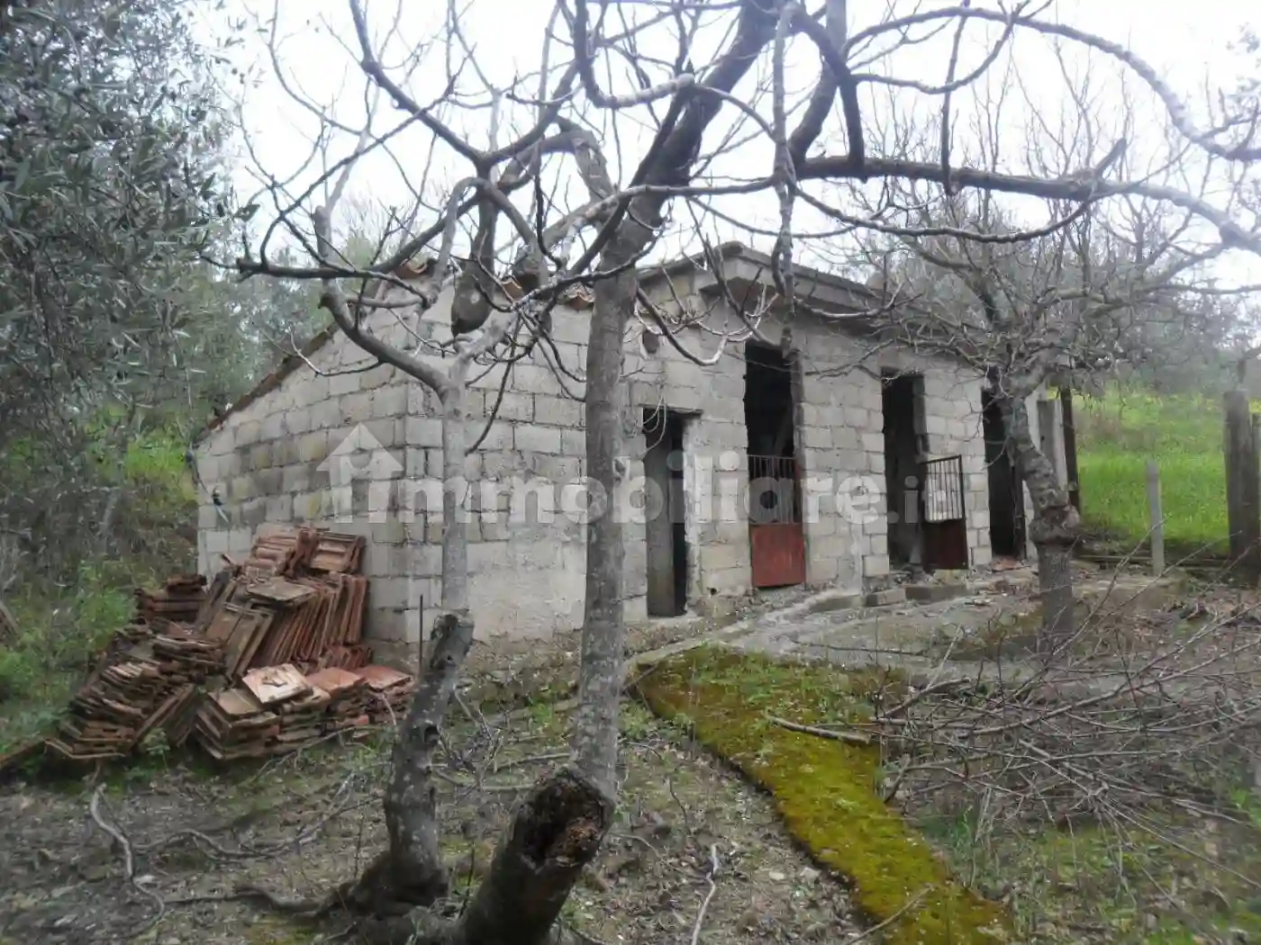 Rustico - Casale - foto 5