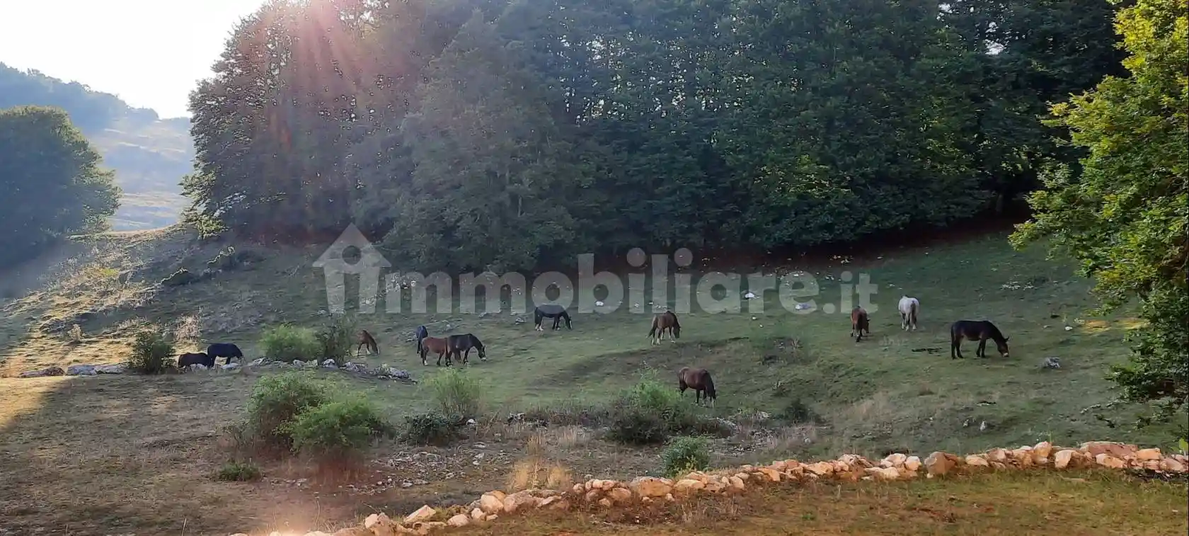 Appartamento in vendita a Tagliacozzo