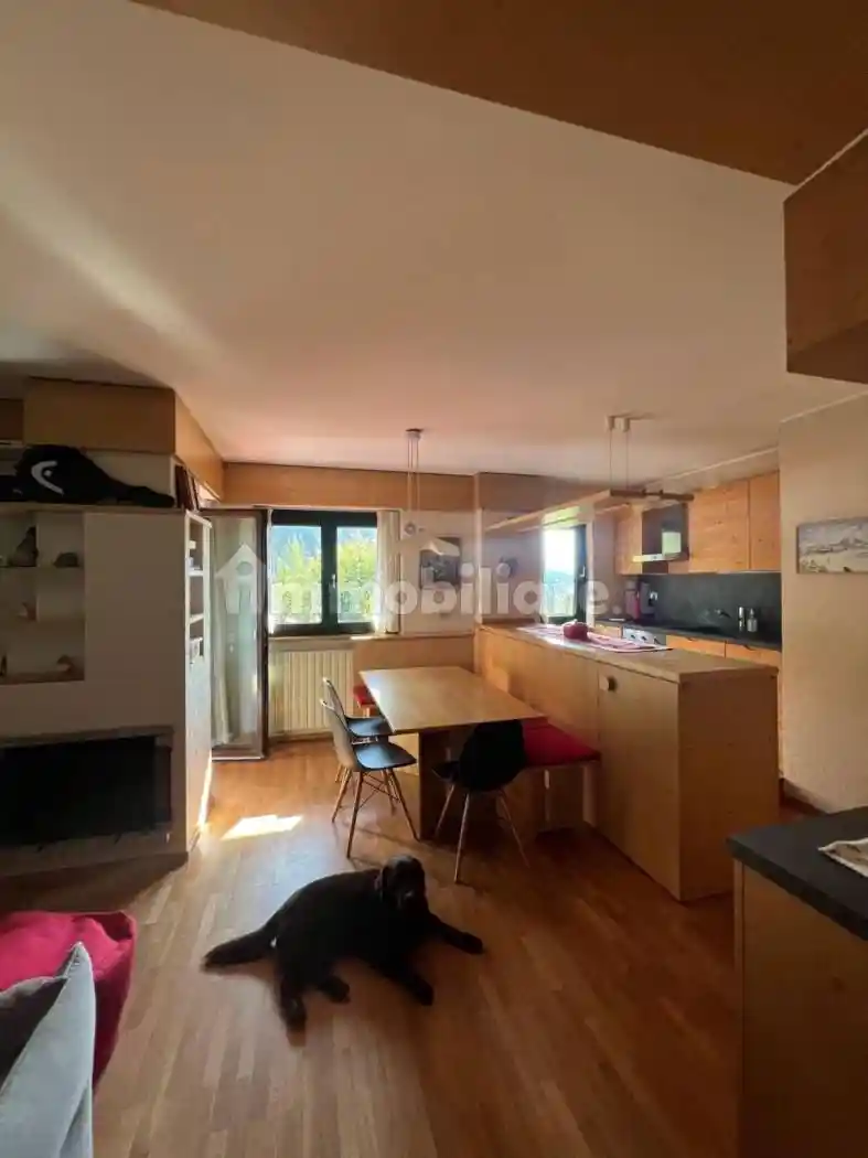 Appartamento in affitto a Ponte di Legno