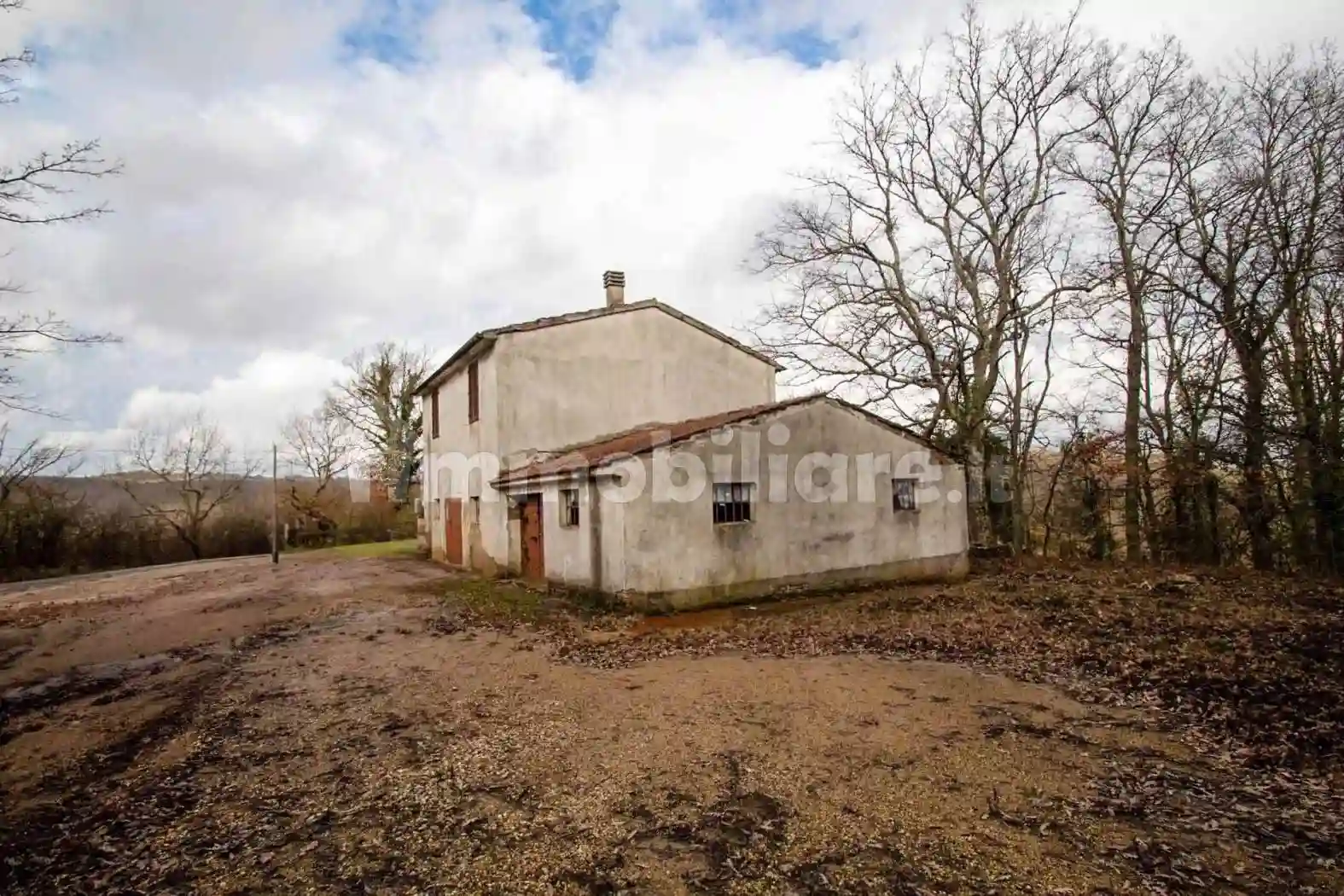 Rustico - Casale - foto 5