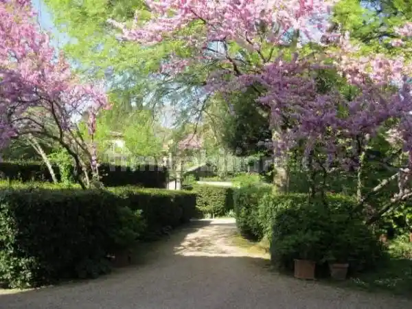 Villa in affitto a Firenze