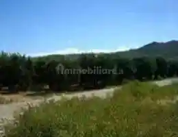 Appartamento in vendita a Sarego