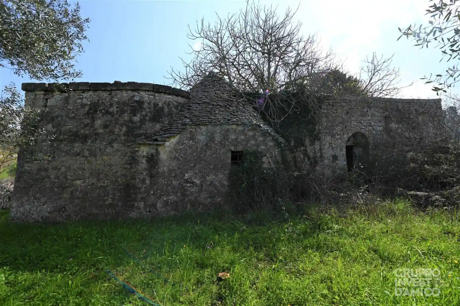 Rustico - Casale in vendita a Locorotondo
