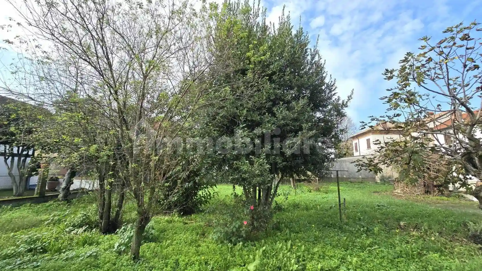 Palazzo - Edificio - foto 5