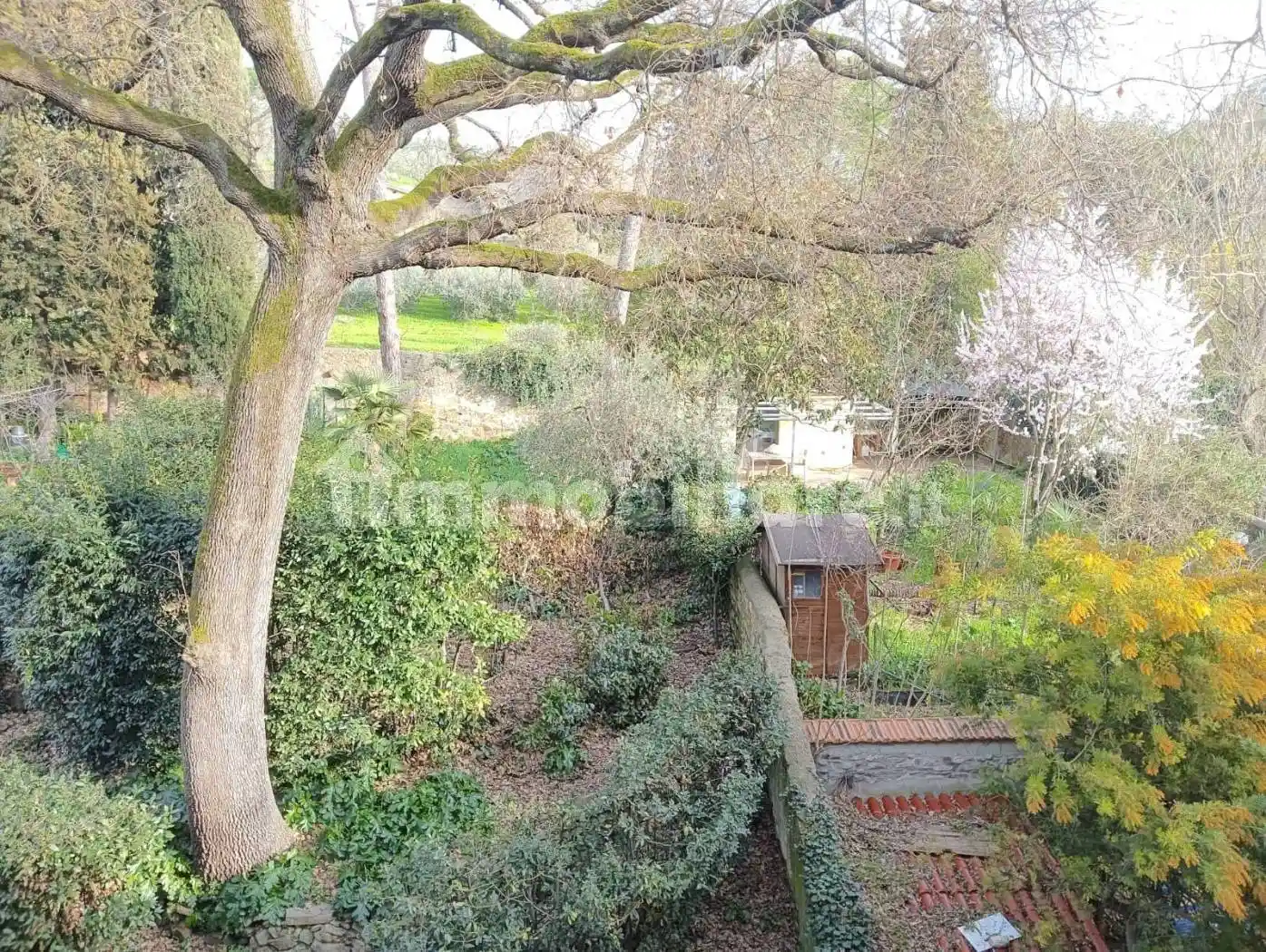 Appartamento in vendita a Firenze