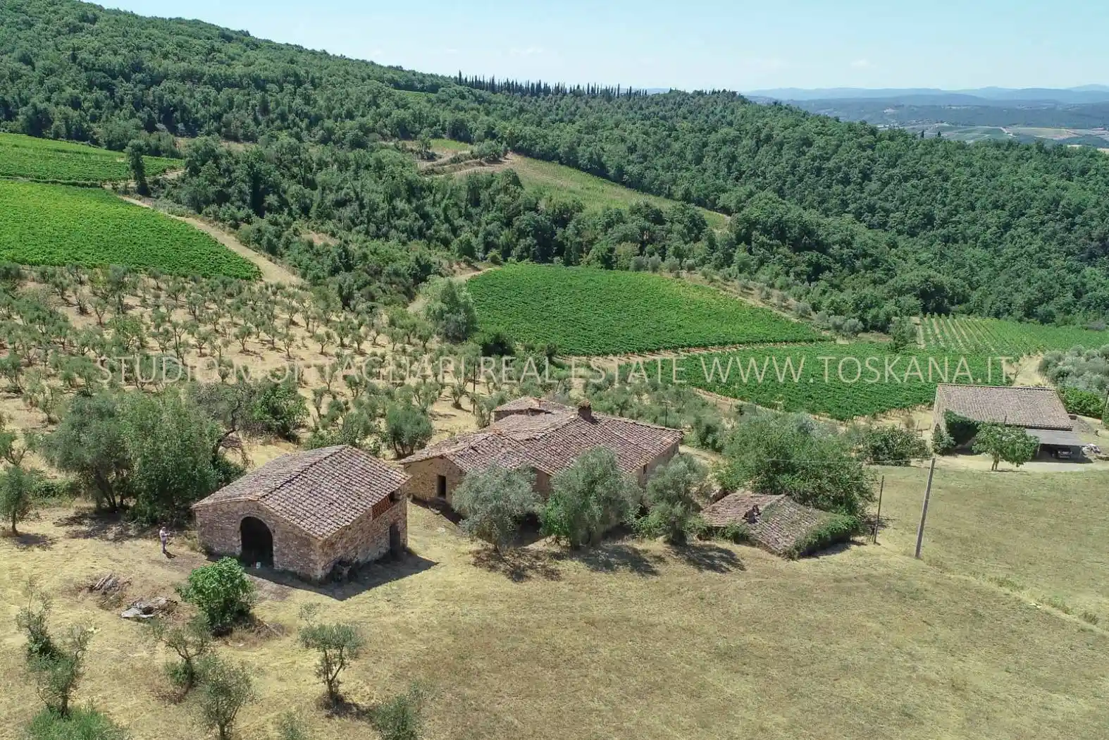Rustico - Casale in vendita a Castellina in Chianti