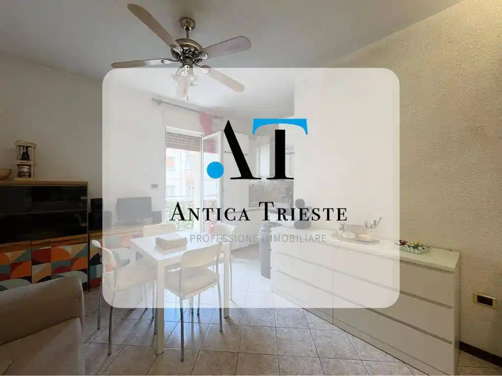 Appartamento in affitto a Trieste