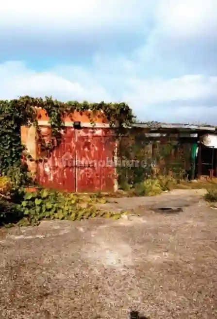 Palazzo - Stabile - foto 5