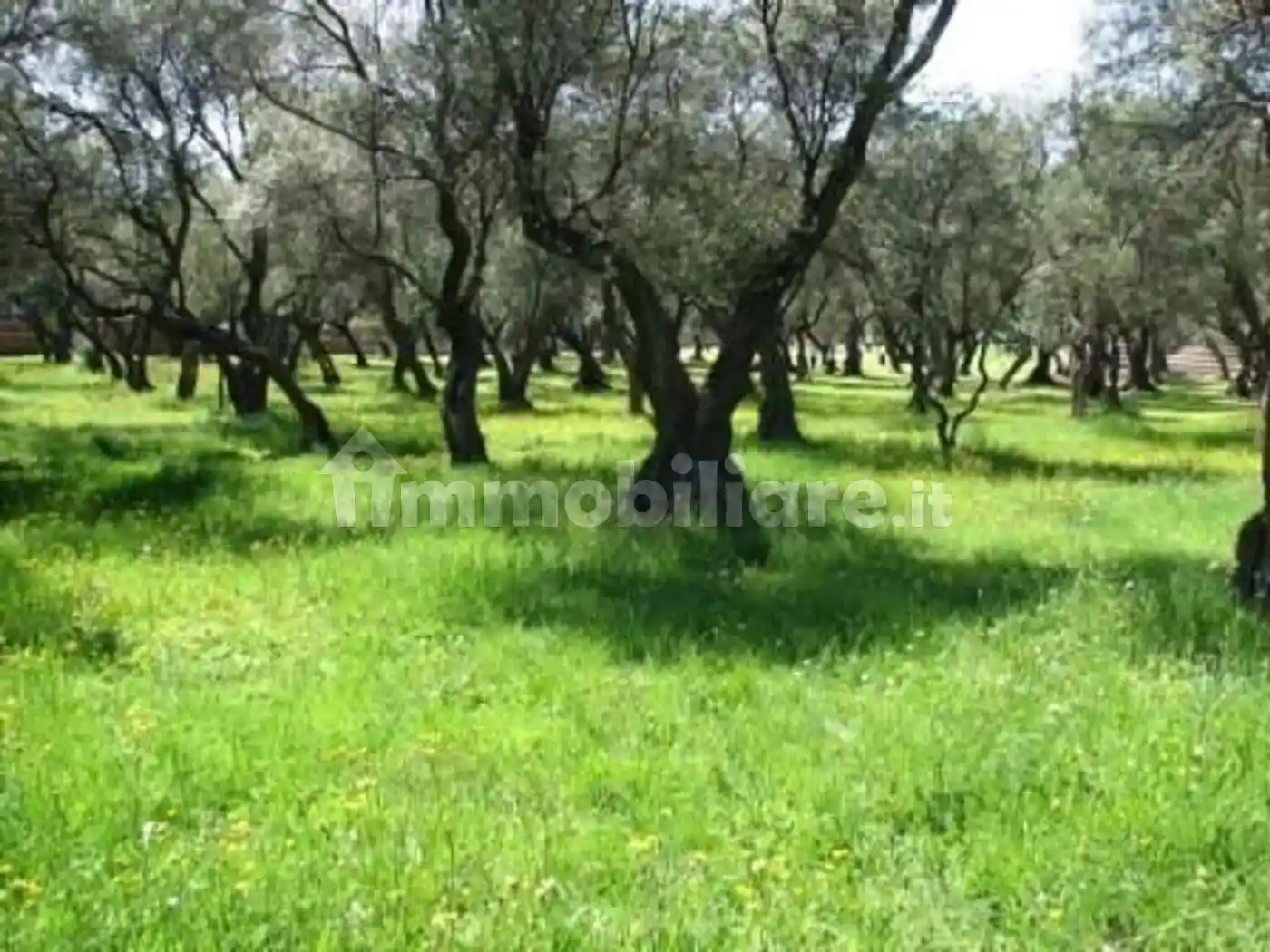 Rustico - Casale in vendita a Misano Adriatico