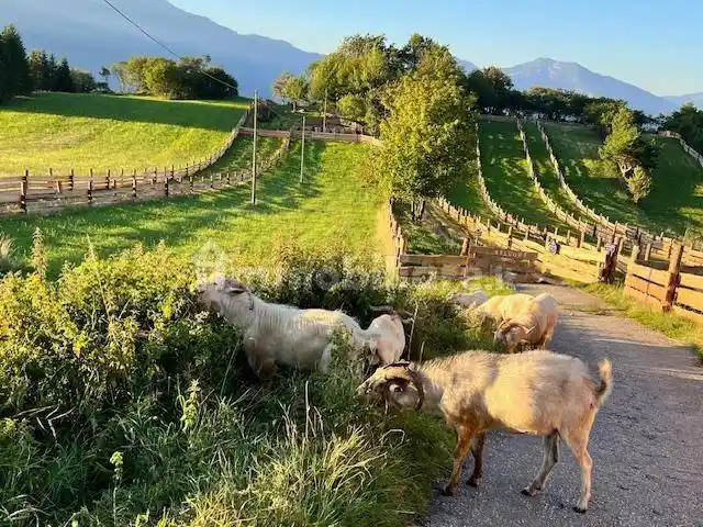 Rustico - Casale in vendita a Vallelaghi