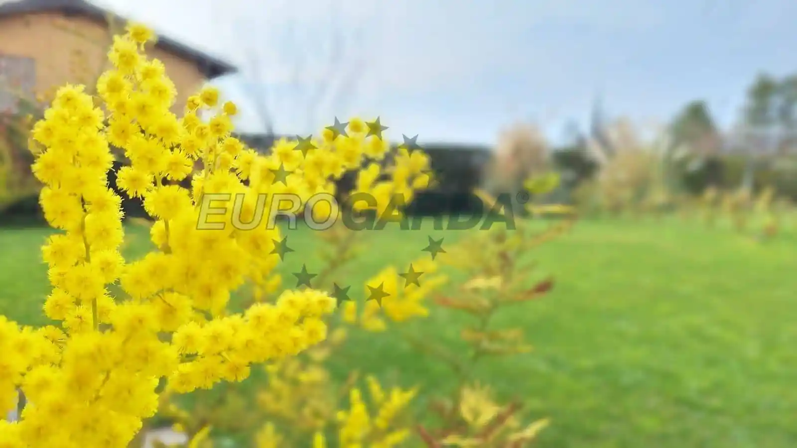 Villa in vendita a Lazise