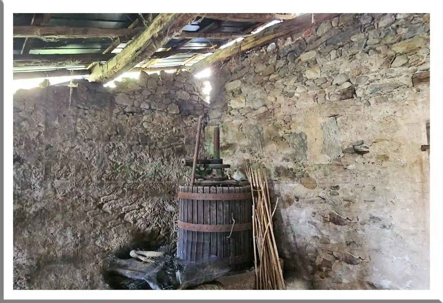 Rustico - Casale - foto 3