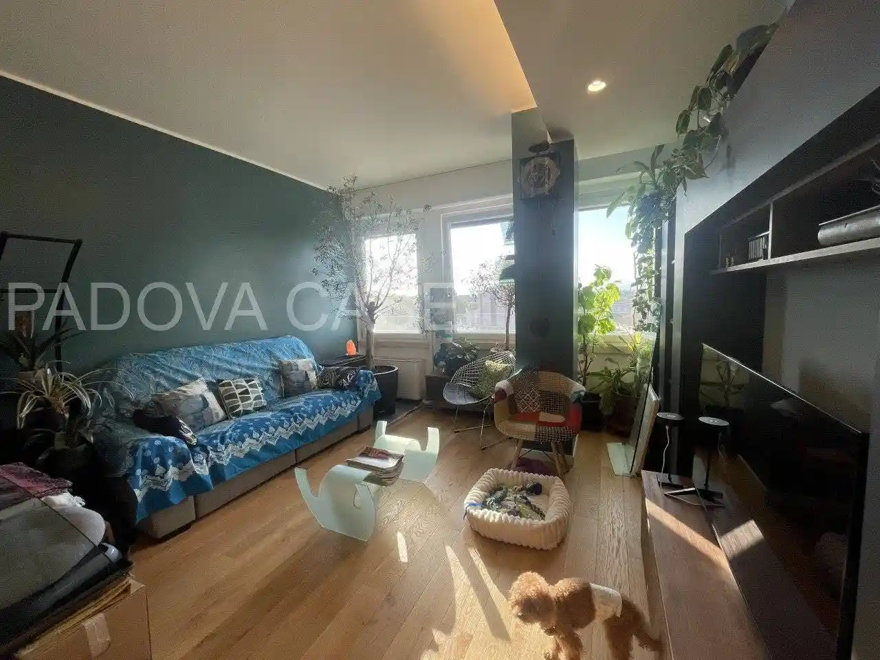 Appartamento in vendita a Padova