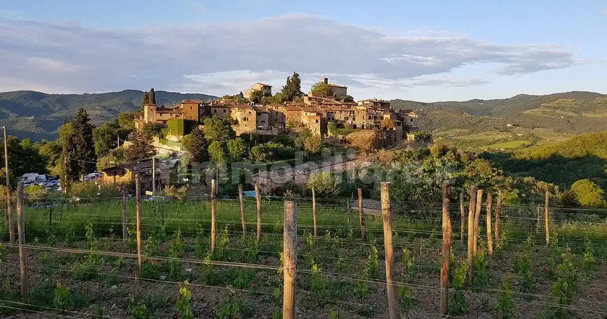 Rustico - Casale in vendita a Greve in Chianti