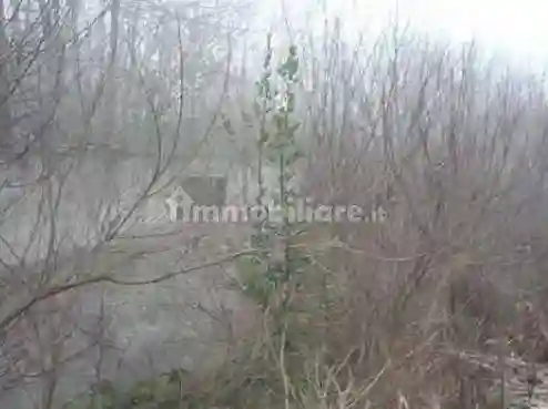 Palazzo - Stabile - foto 5