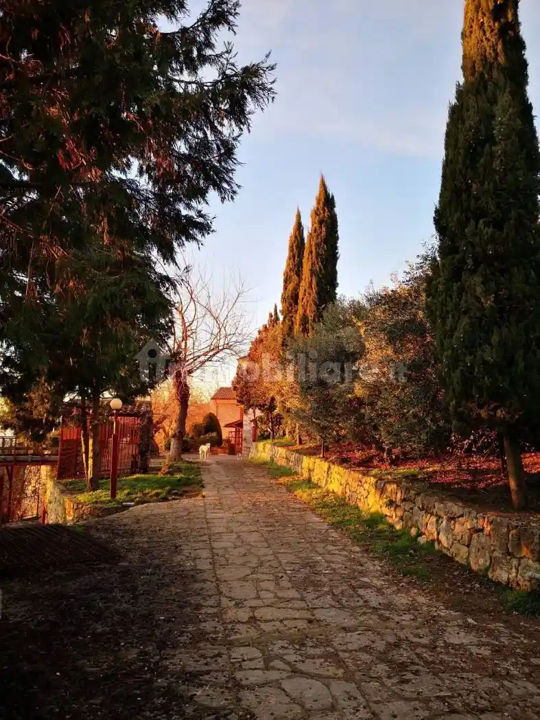 Appartamento in affitto a Negrar di Valpolicella