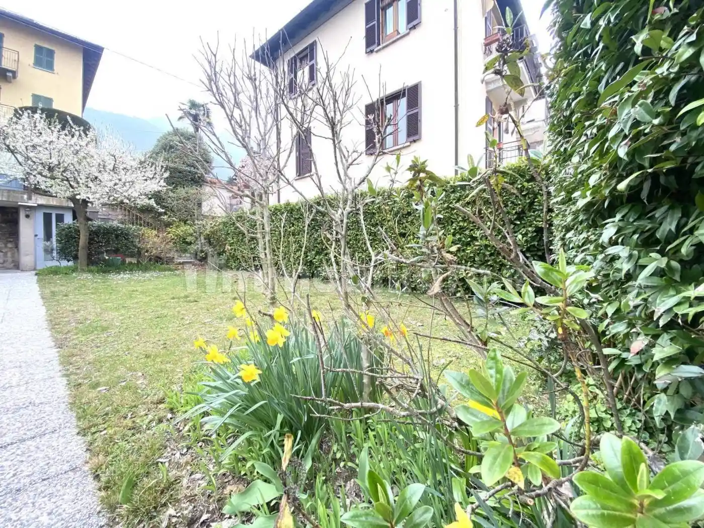 Appartamento in vendita a Tremezzina