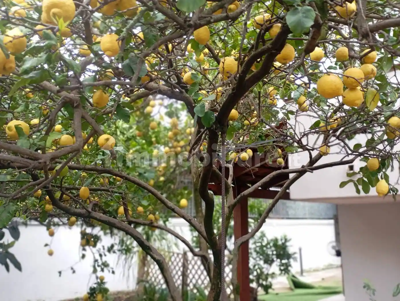 Appartamento in affitto a Pozzuoli