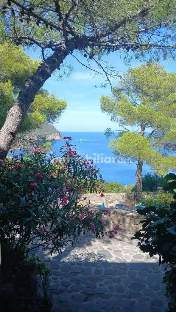 Casa indipendente in vendita a Capraia Isola