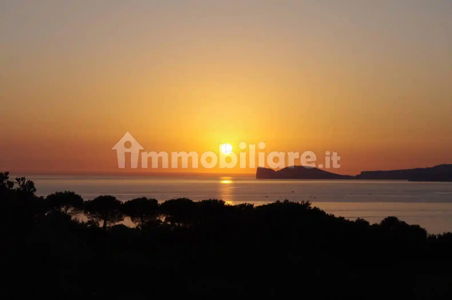 Villa in vendita a Alghero