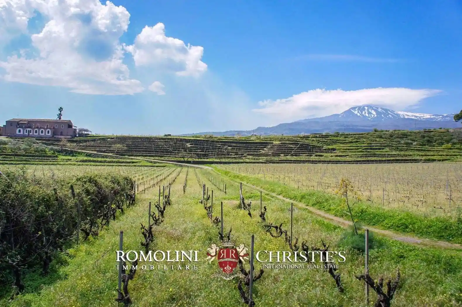 Villa in vendita a Piedimonte Etneo