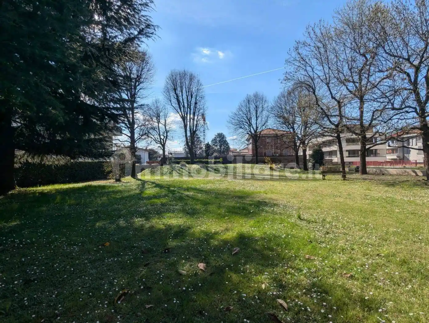 Appartamento in affitto a Monza