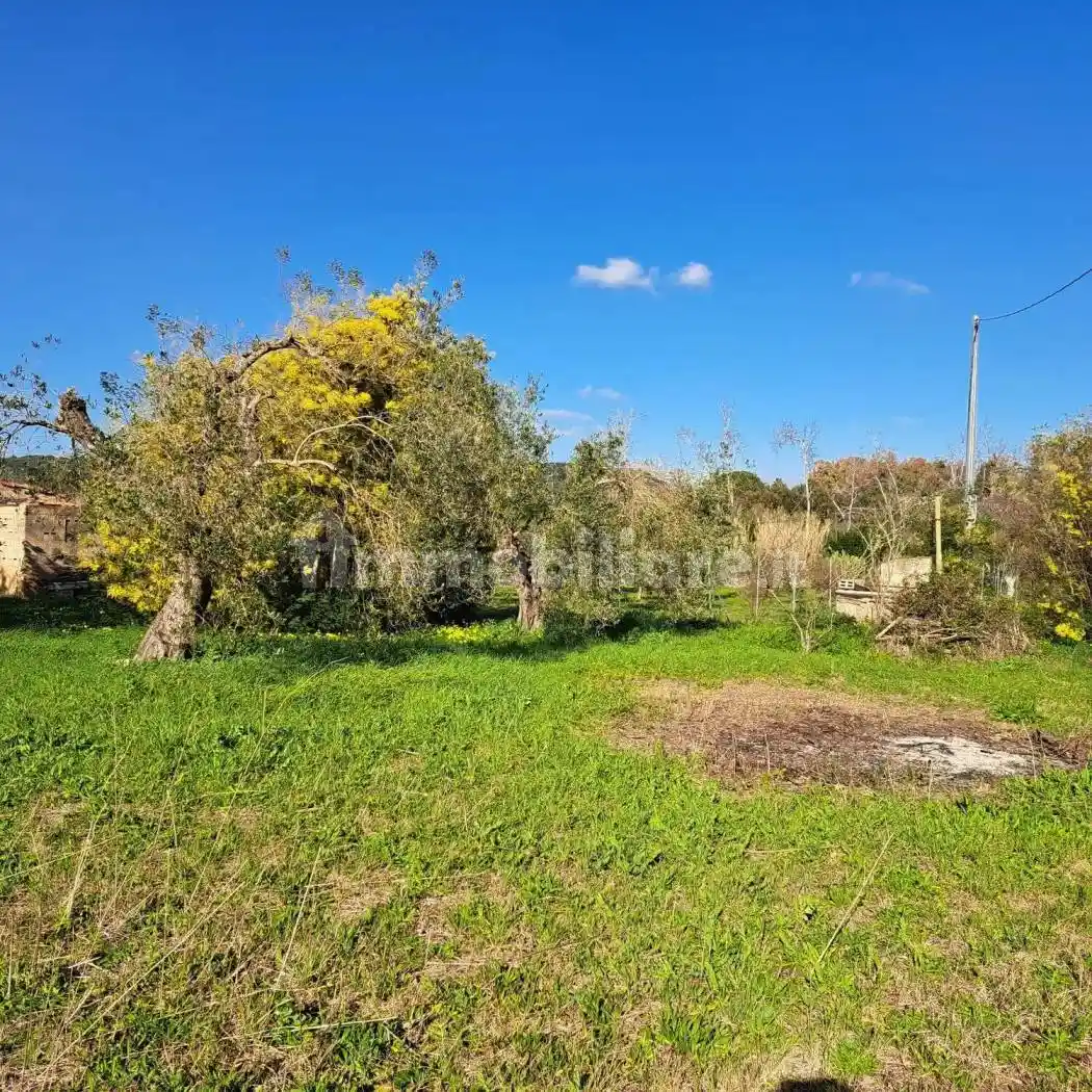 Rustico - Casale in vendita a Alghero