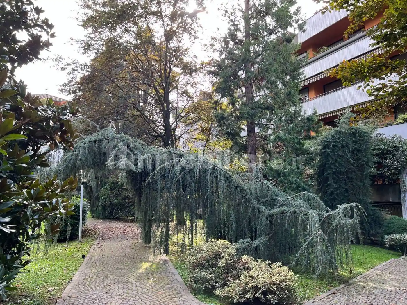 Appartamento in affitto a Arese