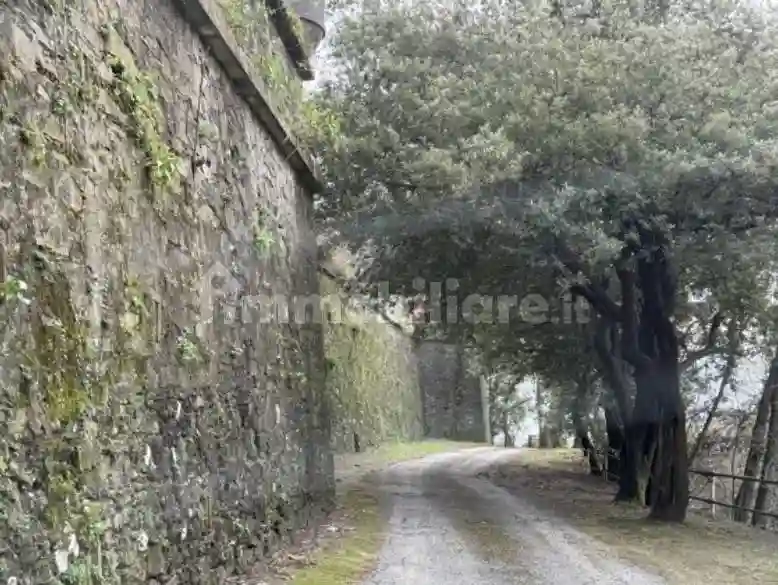 Palazzo - Stabile - foto 3