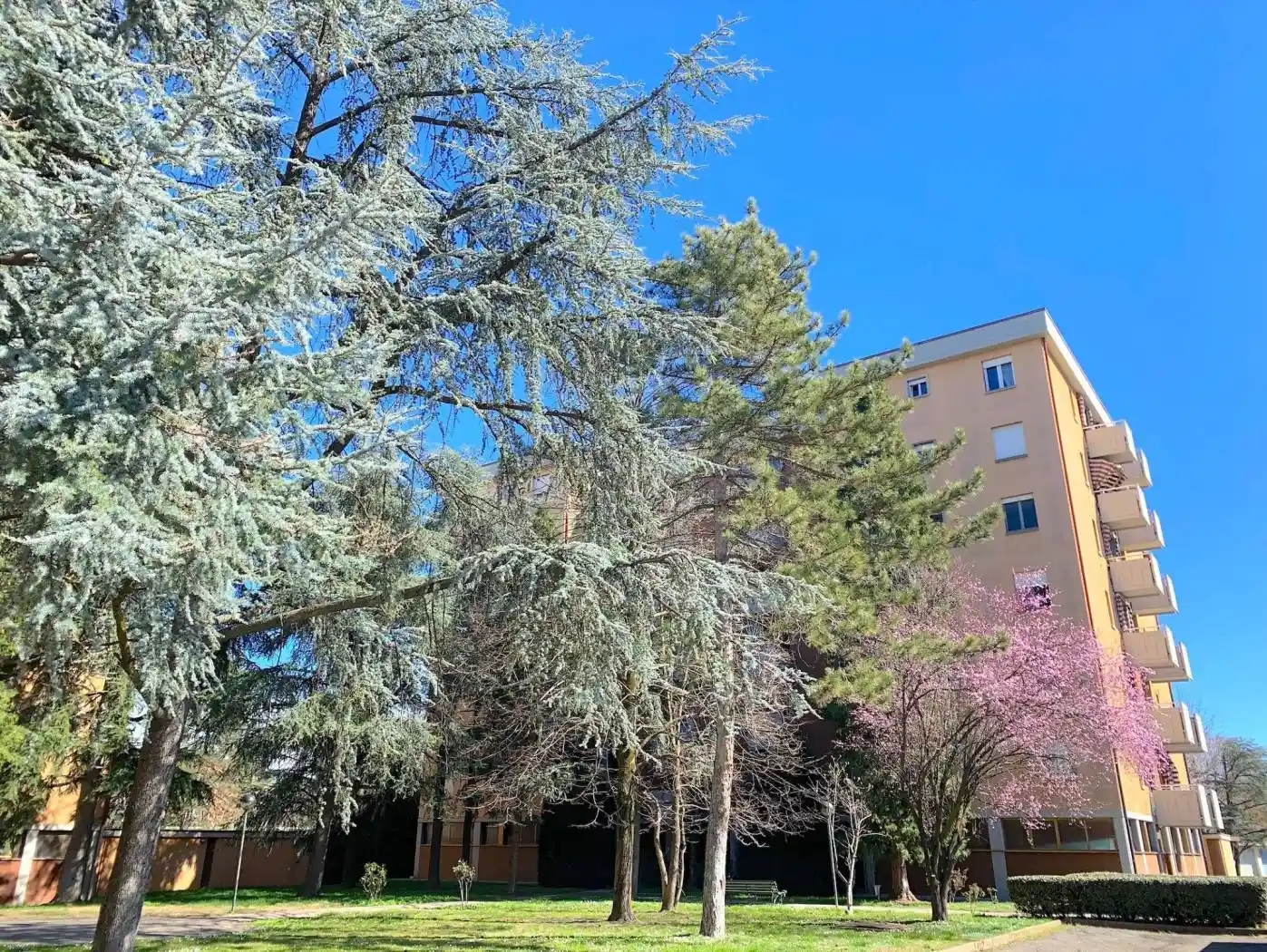 Appartamento in vendita a Reggio Emilia