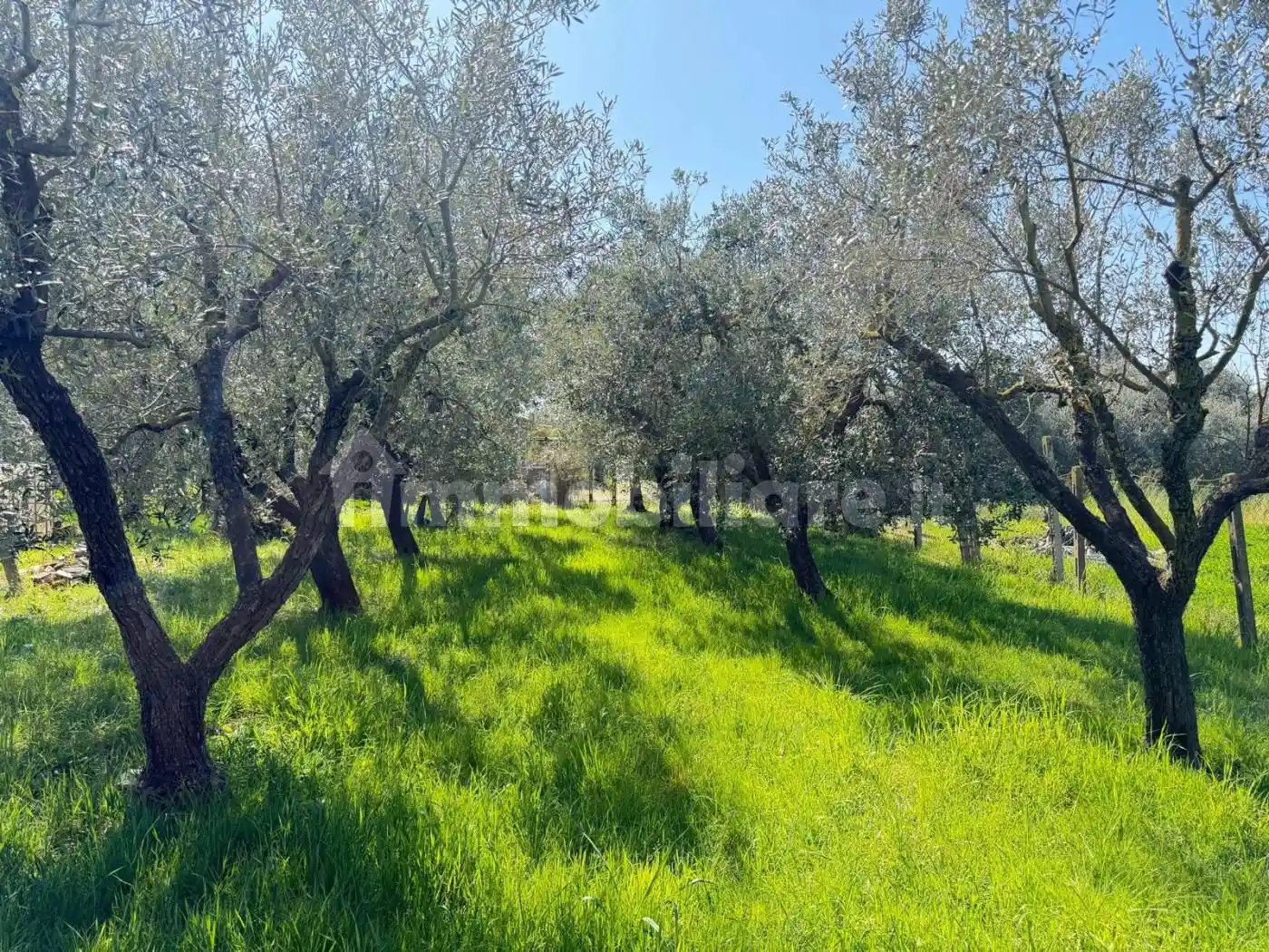 Villa in vendita a Pomezia